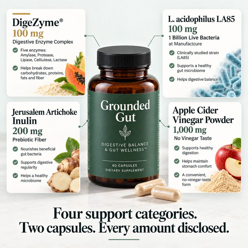 Grounded Gut bottle surrounded by four ingredient infographic panels: DigeZyme 100mg, L. acidophilus LA85 100mg, Jerusalem Artichoke Inulin 200mg, Apple Cider Vinegar Powder 1000mg — Four support categories, two capsules, every amount disclosed